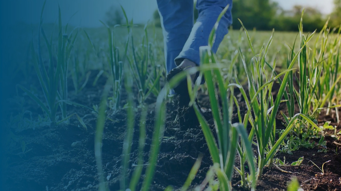 world soil day